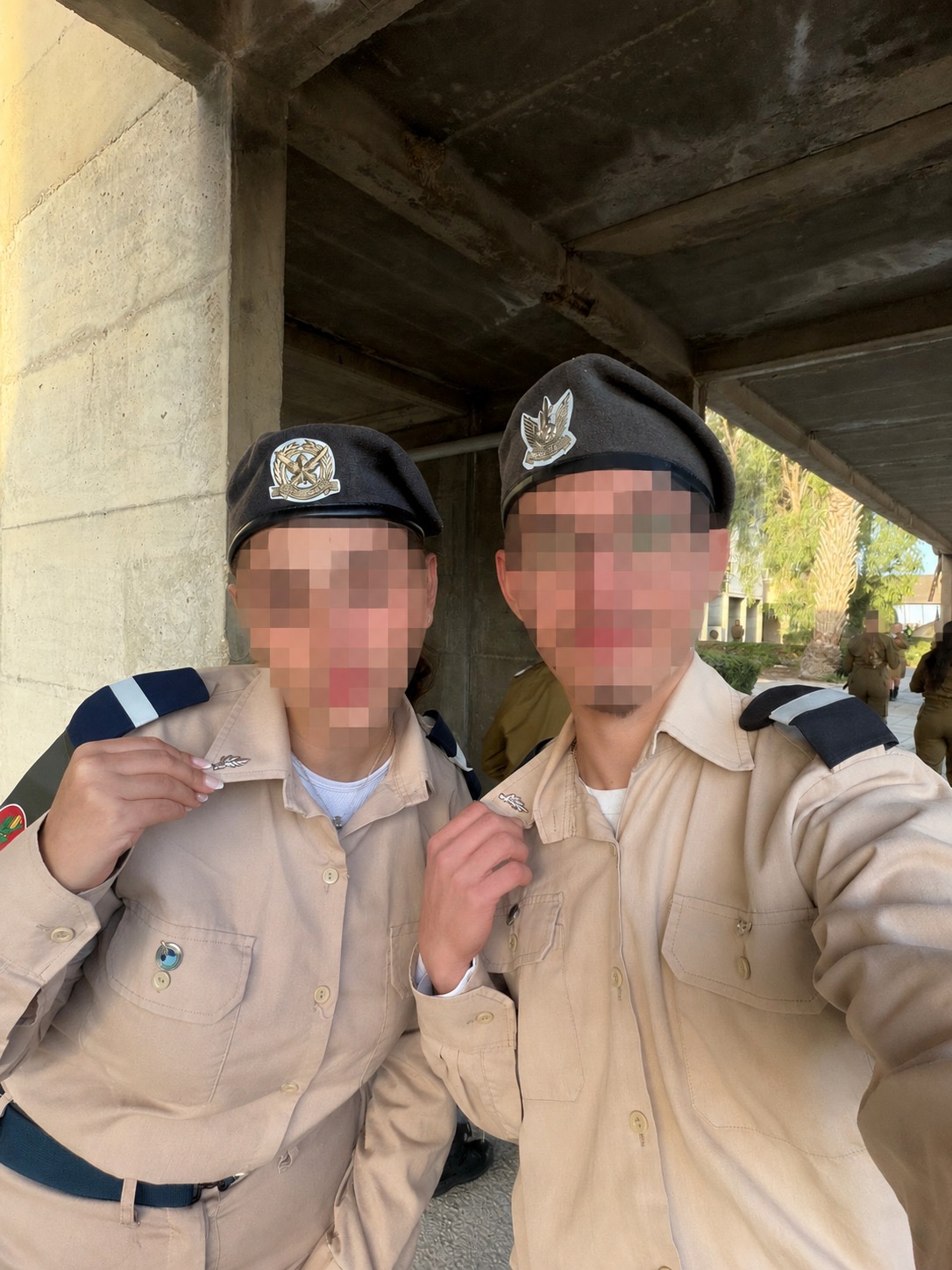 צוות אשכולות