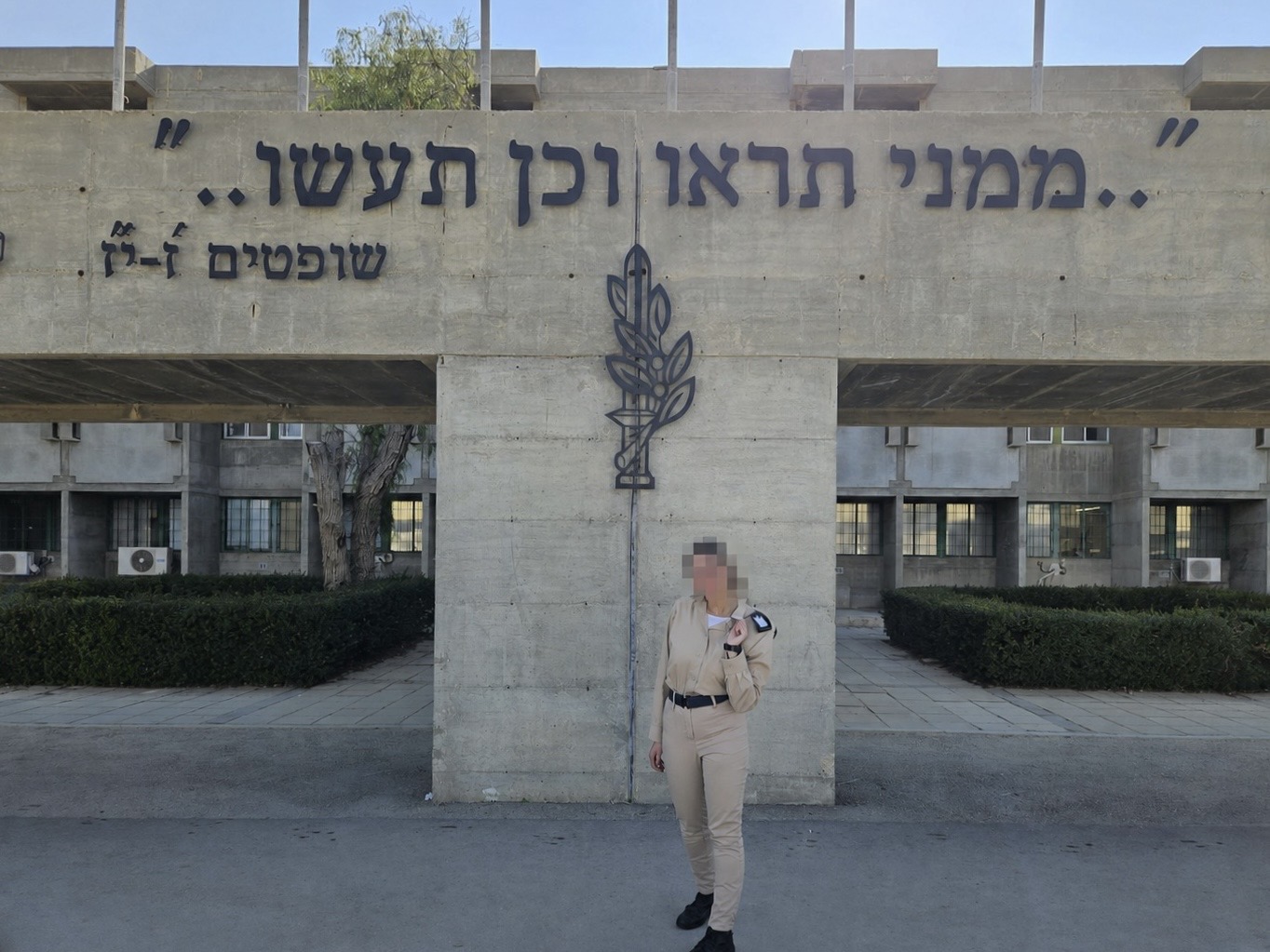 צוות אשכולות